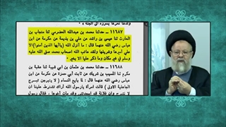 نظر ابن عباس درباره حضرت علی علیه السلام