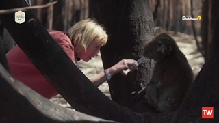 رخنه در اسرار ؛ 2020 ؛ فصل 60 ؛ قسمت 3