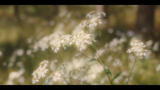 ملودی پرجکت off my face از چهیونگ #درخواستی