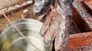 روش تمیز کردن طلا و جواهر گلی شده با آنی حامی Ani Hami