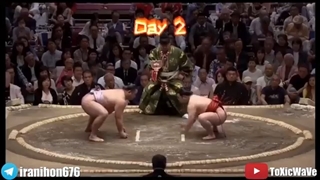 همه چیز دربارهٔ سومو | کشتی ژاپنی