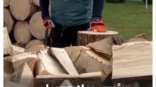 المیادین Go | رئیس بیلاروسیا یقطع الحطب "من أجل أوروبا"