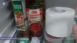 بوگیر طبیعی یخچال با دستمال توالت