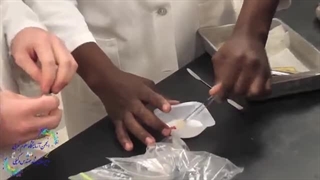 واکنش تجزیه پتاسیم کلرات و اکسایش گلوکز !