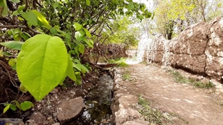 بهار روستای کچومثقال