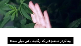 درمان ریزش مو بدون بازگشت زاویه سازی صورت