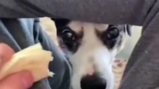 شادی روحش صلوات :))