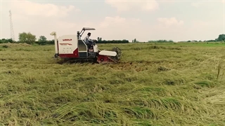 درباره نماشون