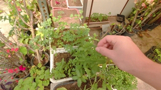 دوباره وارد شدم