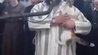 پیشنماز و گربه