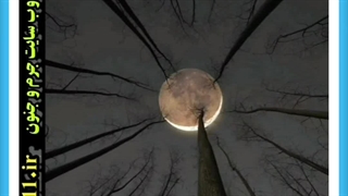 داستان صحبت خداوند با موسی پیامبر از میان یک درخت