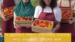 نجات زنبورهای عسل