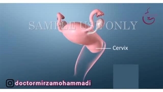 تست پاپ اسمیر