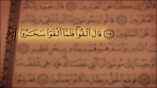 ترتیل جزء 9 مشاری العفاسی با نمایش آیه و ترجمه گویای فارسی همراه با تصاویر طبیعت