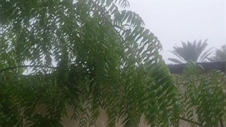 این دعا رو خیلی دوست دارم دیگه گفتن خودمم بخونمش:)