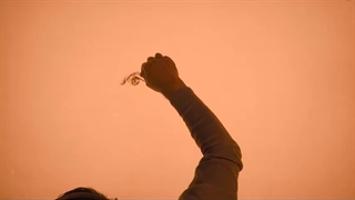 فرزند ایران | در مسیر حق بودن، بدون جهاد و ایثار ممکن نیست!