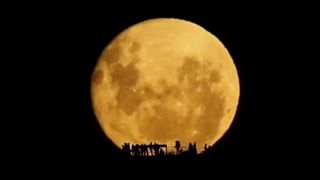 الهی العفو...