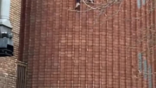 حادثه برای نینجای تهران هنگام بالارفتن مثل مرد عنکبوتی