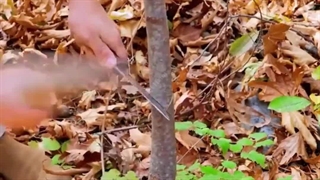 دانستنی های ضروری در کوه پیمایی و طبیعت گردی با آنی حامی Ani Hami