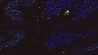 به این فندوم چی میگن...:)؟