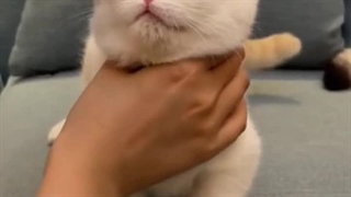 میخواستم سینمایی کارتر رو براتون اپلود کنم . بدون سانسورش رو پیدا کردم خیلی خشن بود! نماشا اپلودش نمیکرد :(به جاش اینو ببینید (: