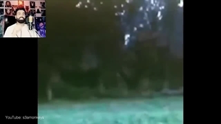کلیپ هائی از عالم عجیب ارواح