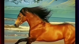 کلیپ هیجان انگیز روز معلم   (تهیه شده با نرم افزار فوق پیشرفته پریمیر پرو در PC)