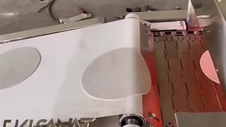 فر نان پیتا خطی