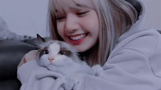 آیدل هایی که تک فرزندن⟨اینجا کسی داریم که تک فرزند باشه؟؟⟩