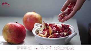 ایلیا نوش، تولید کننده انواع بنیان میوه