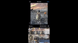 آموزش گذاشتن پست مشترک در اینستاگرام با قابلیت Post Collabs