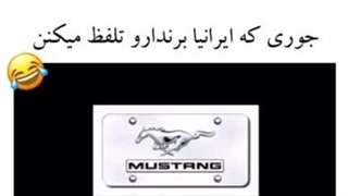 #ایرانی-جماعت-اسیدن