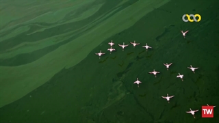 استوا از آسمان ؛ 2019 ؛ فصل 1 ؛ قسمت 1