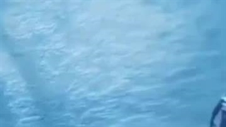 اگه از اینا بترسی یعنی فوبیا به اقیانوس داری