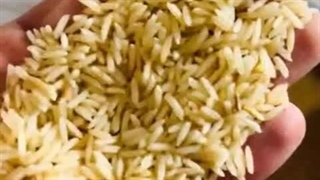 برنج دودی نماشون