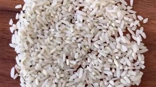 سرلاشه نماشون