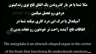 داستان پشت آهنگ آمیگدال شوگا