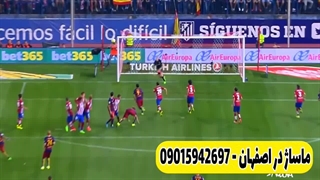 بهترین و زیباترین گل های نیمار که ارزش دیدن دارند
