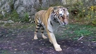 بررسی Hdri Maker افزونه Blender