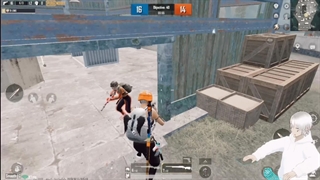 روم اسنایپ XWX تک به تک