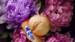 طبیعت و موسیقی