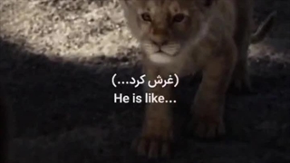 پدرش پشتش دراومد