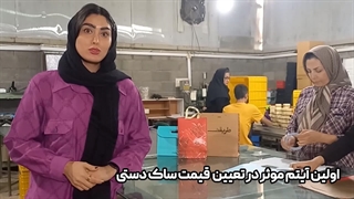 3 عامل تعیین کننده در قیمت ساک دستی