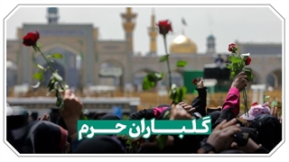 گلباران حرم مطهر به مناسبت میلاد حضرت معصومه (س) و آغاز جشن های دهه کرامت