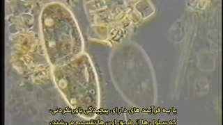 پیش پرده 7 آیا هوشی هست