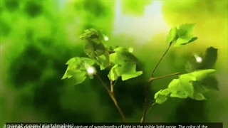 فیلم فتوسنتز 2 (فیلم کمک آموزشی درس فیزیولوژی گیاهی)