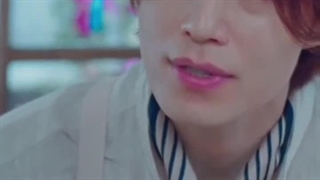 روباه نه دم