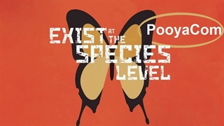 چرا حشرات زیاد هستند؟