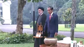 غرس نهال توسط آیت الله دکتر رئیسی و رئیس جمهور اندونزی در محوطه کاخ ریاست جمهوری اندونزی