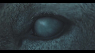 تریلر فیلم Kingdom: Ashin of the North 2021